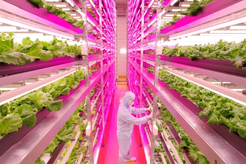 Vertical Farming