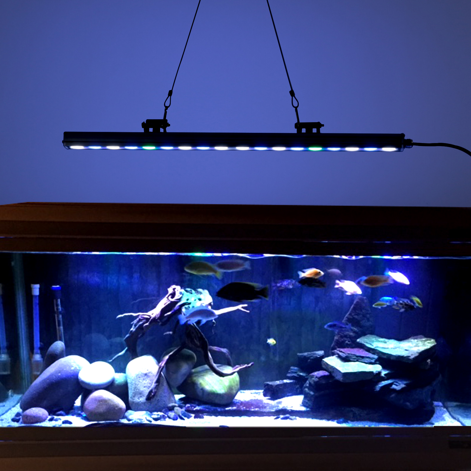 Aquarium Light bar 