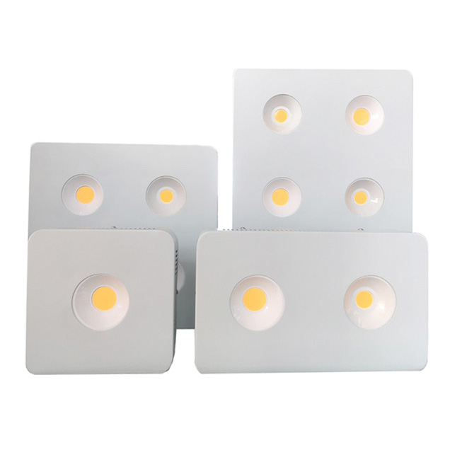 Cree Grow Light Series